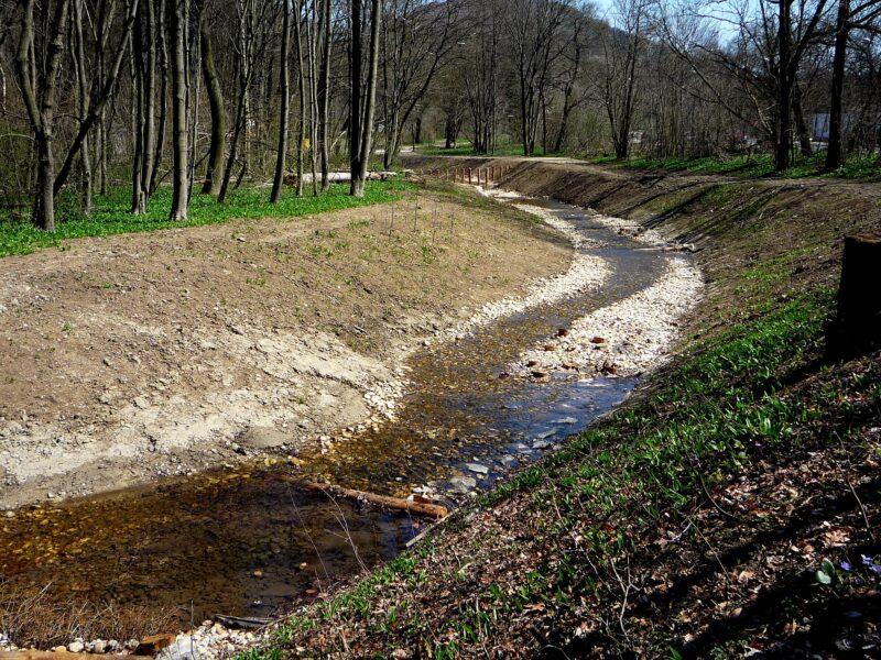 Leicht geschwungener Bachlauf mit kiesiger Sohle und verteilt eingesetzten ingenieurbiologischen Bauweisen sowie Uferbepflanzungen.